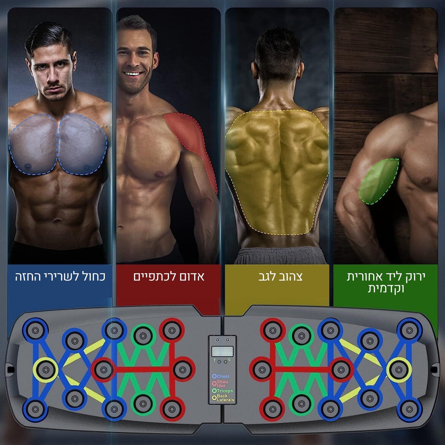 FitMaster - לוח האימון החכם והמתקדם לאימון מקיף של כל שרירי הגוף!