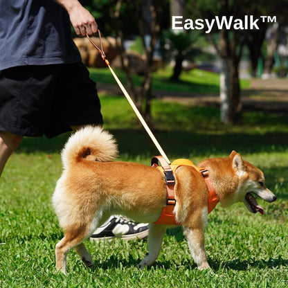 ™EasyWalk רצועת הכלבים החכמה עם מערכת נעילה אוטומטית