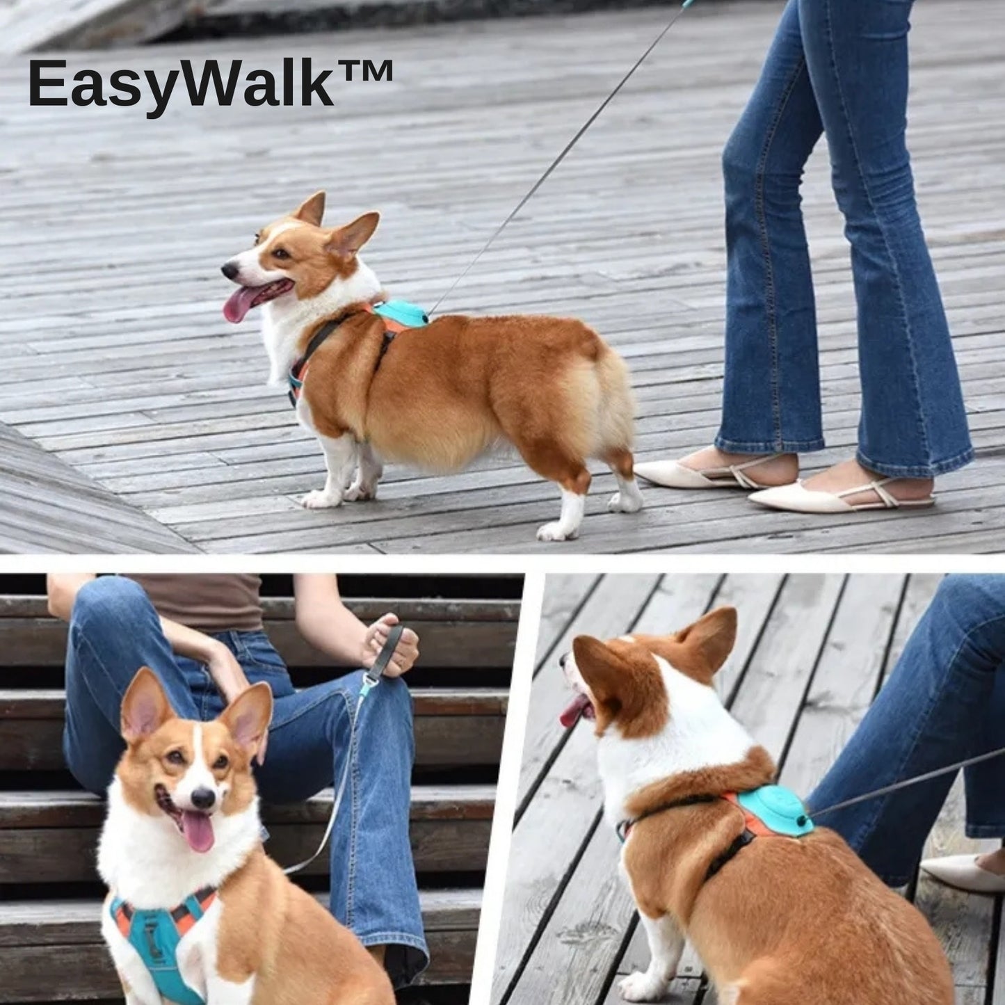 ™EasyWalk רצועת הכלבים החכמה עם מערכת נעילה אוטומטית