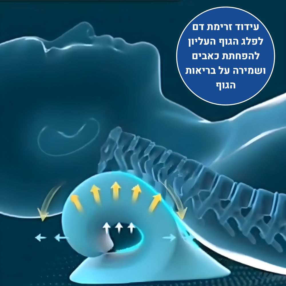 אורטוקל טכנולוגית פיקס - להעלמת כאבי צוואר, גב, כתפיים, ותנוחה נכונה