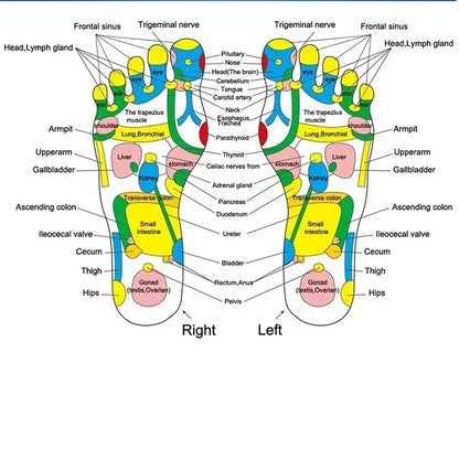 Foot Massage Mat Acupressure Relax Massage Pad Trigger Point Heath Therapy Relax Pain Stress Relief Reflexology Walk Stone Road